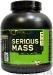 Optimum Nutrition Serious Mass Optimum Nutrition Serious Mass