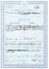 Core Series L-Carnitine